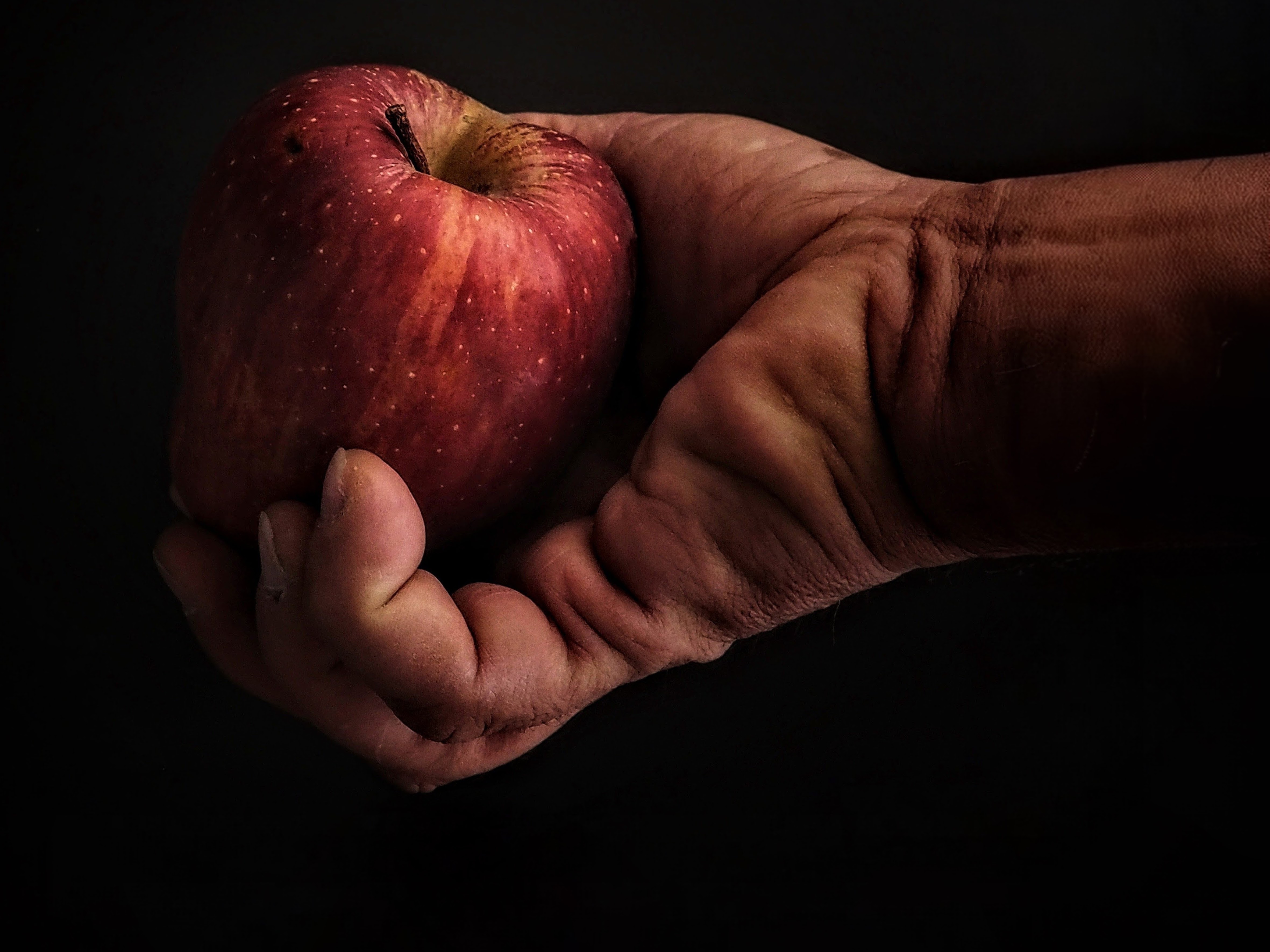 Il Frutto Proibito