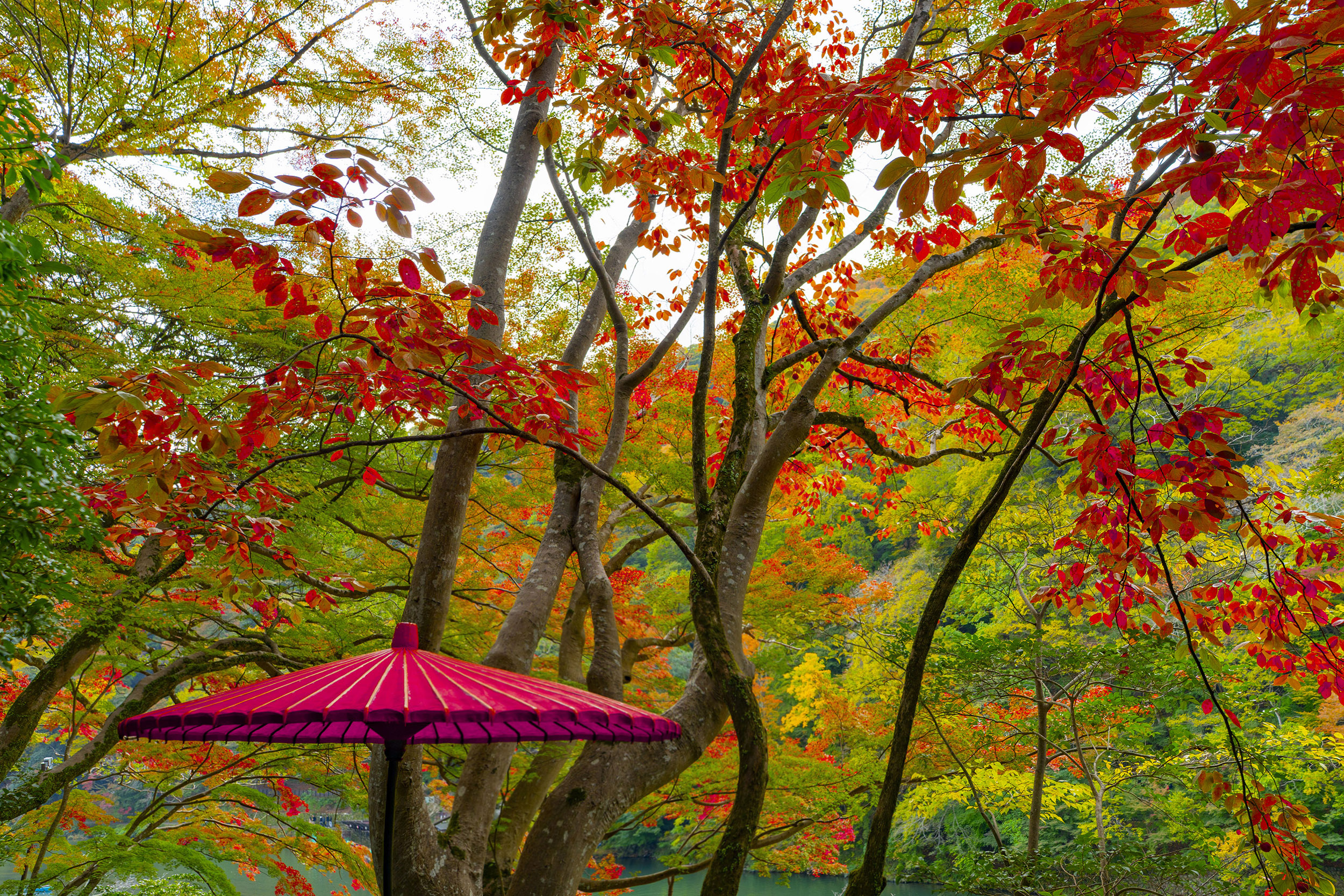 Rosso e Zen